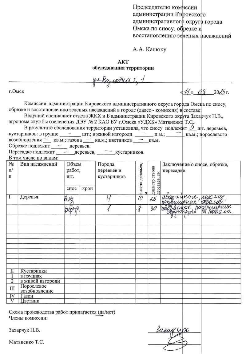 Акт обследования территории в Администрацию города Омска о вырубке зелёных насаждений от 11.08.2025 г.