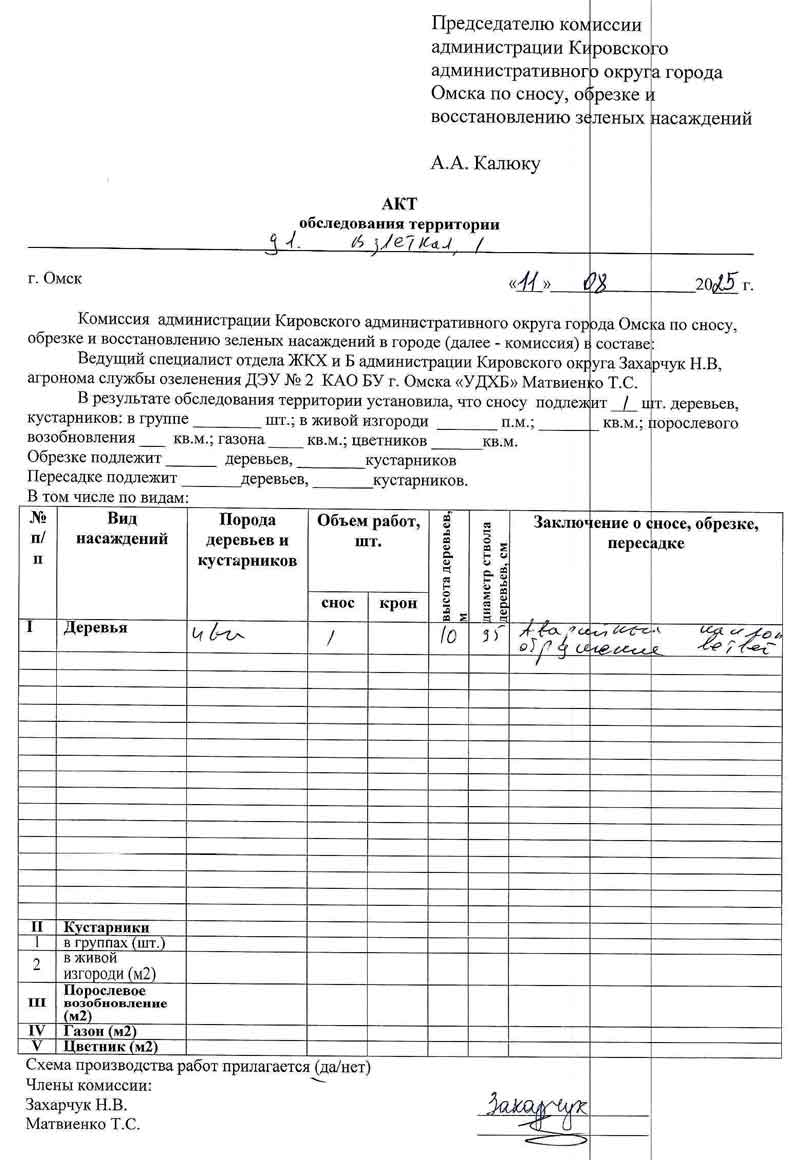 Акт обследования территории в Администрацию города Омска о вырубке зелёных насаждений от 11.08.2025 г.